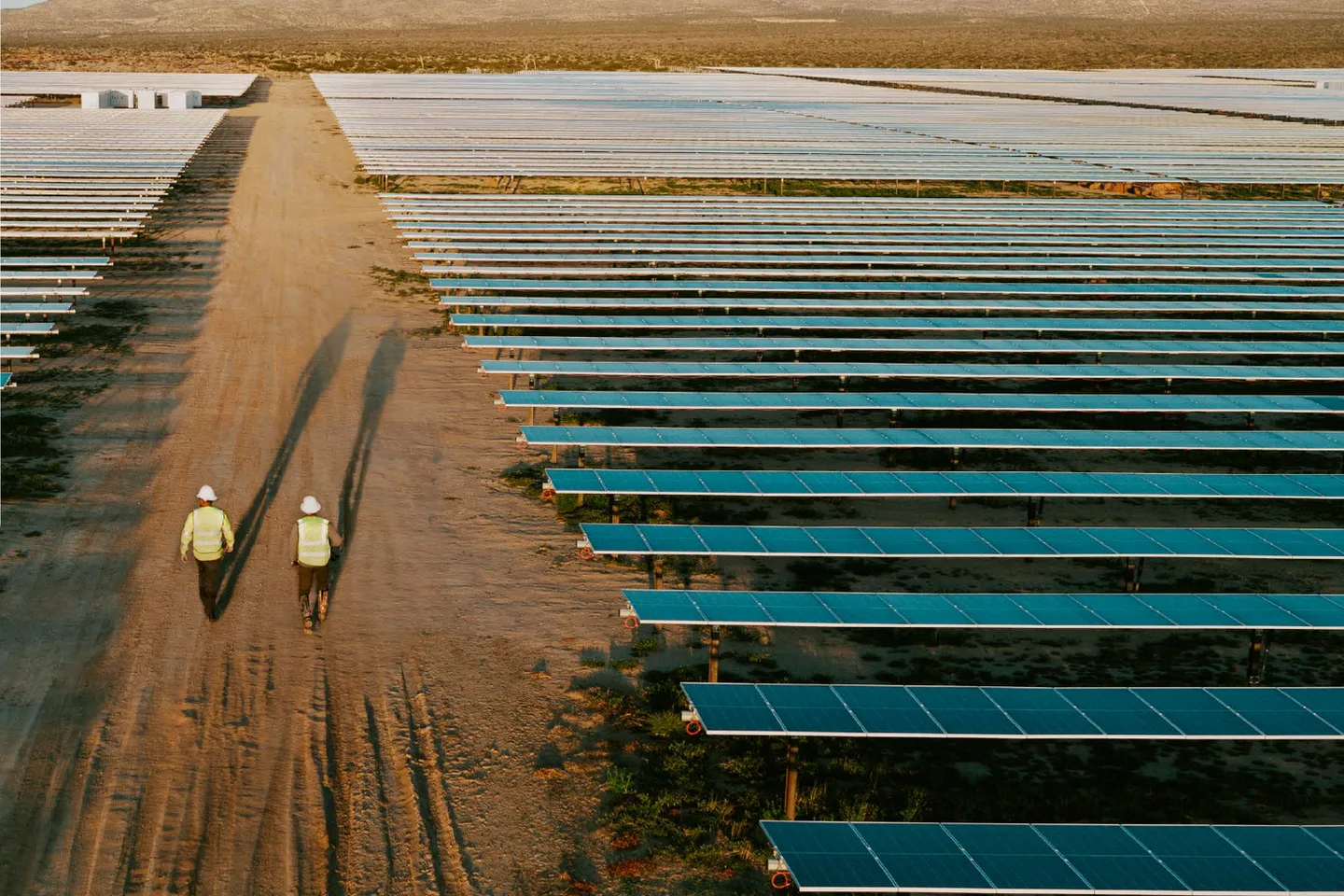Two people walking through a solar field