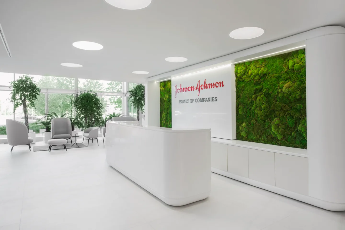 Johnson & Johnson project image frame 04-1