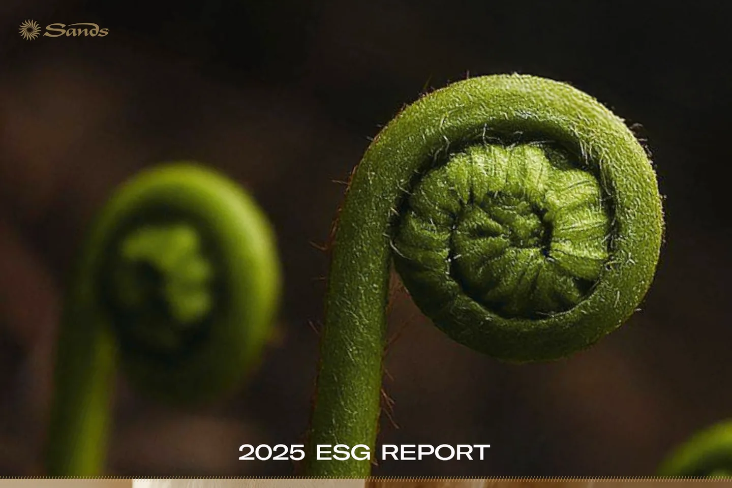 Macro fern detail from the Sands ESG report cover