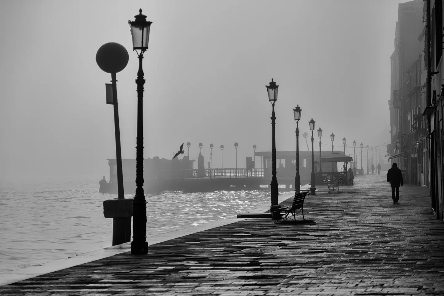 Foggy waterfront promenade lined with street lamps