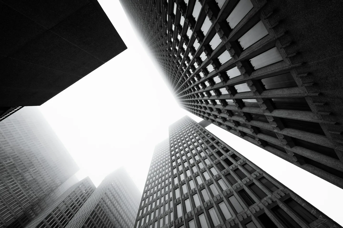 Skyscrapers viewed from the street in heavy fog