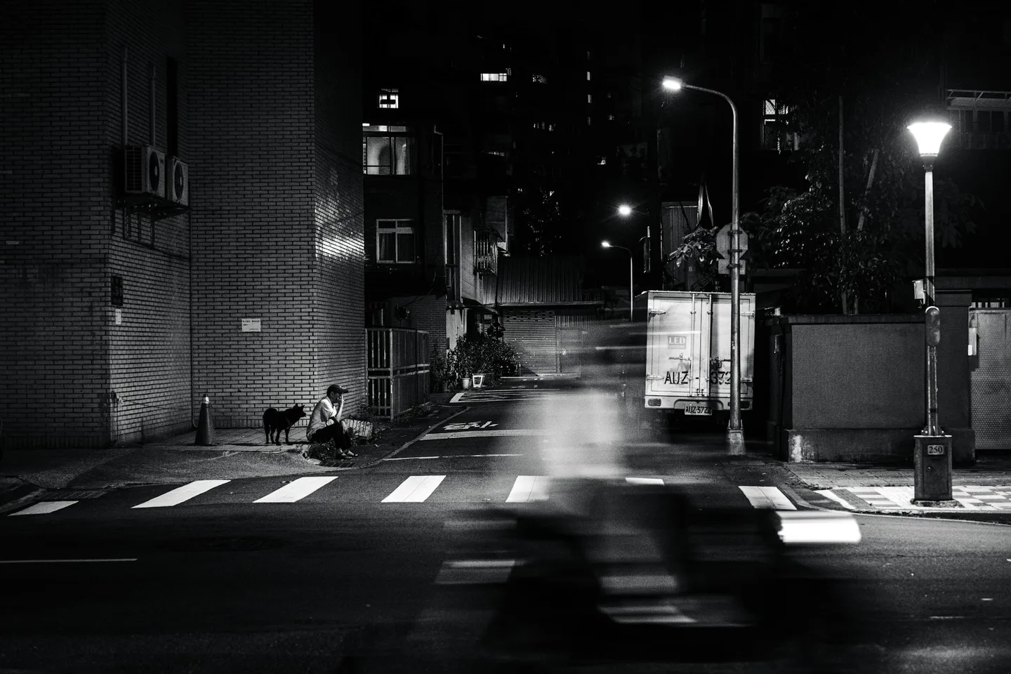 Night street with a seated figure, dog, and passing traffic